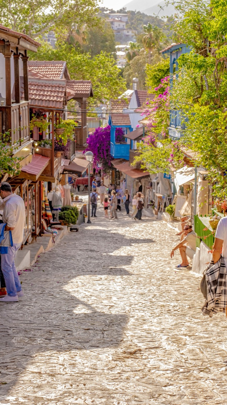 Kaş old town street with bougainvillea